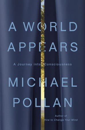 A World Appears by